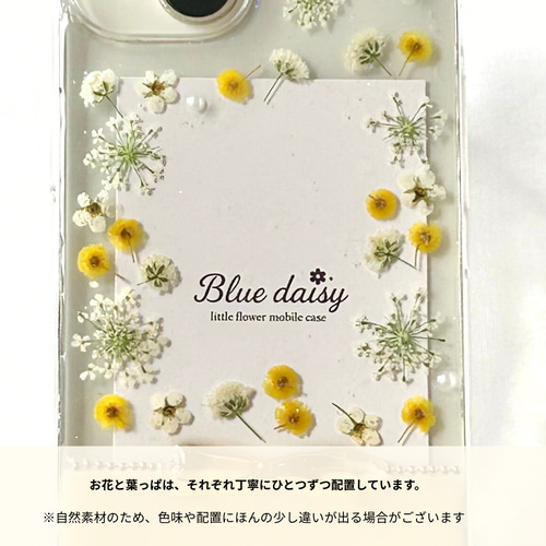 全機種対応】きらめくリボン ミモザ かすみ草 iPhone17/16/15/14対応