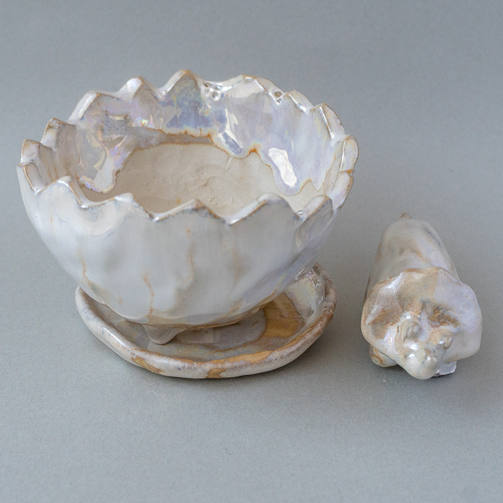 恐竜の卵から生まれた小さなトリケラトプス ラスター釉の多肉植物用植木鉢セット