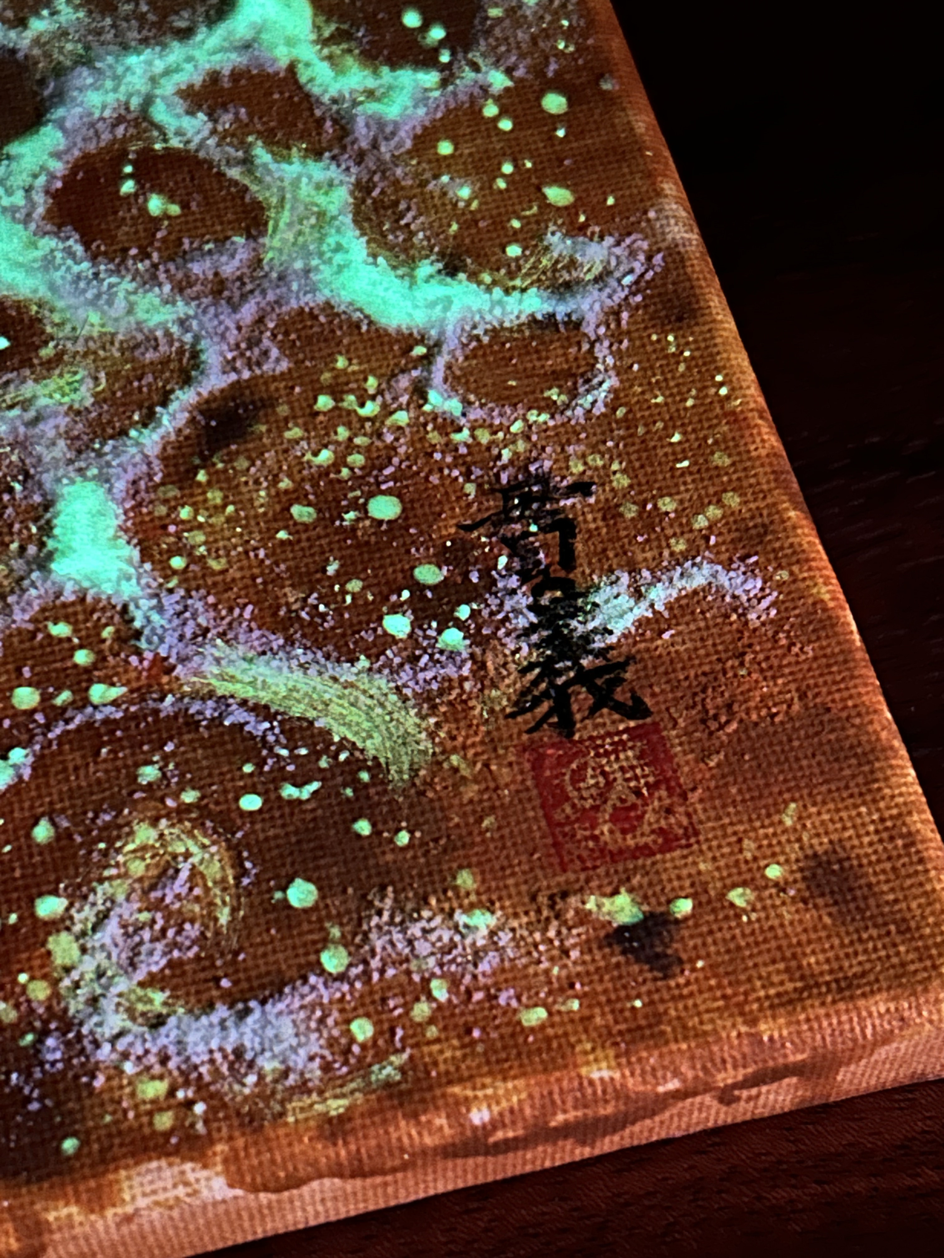 アマテラスヒカリ01