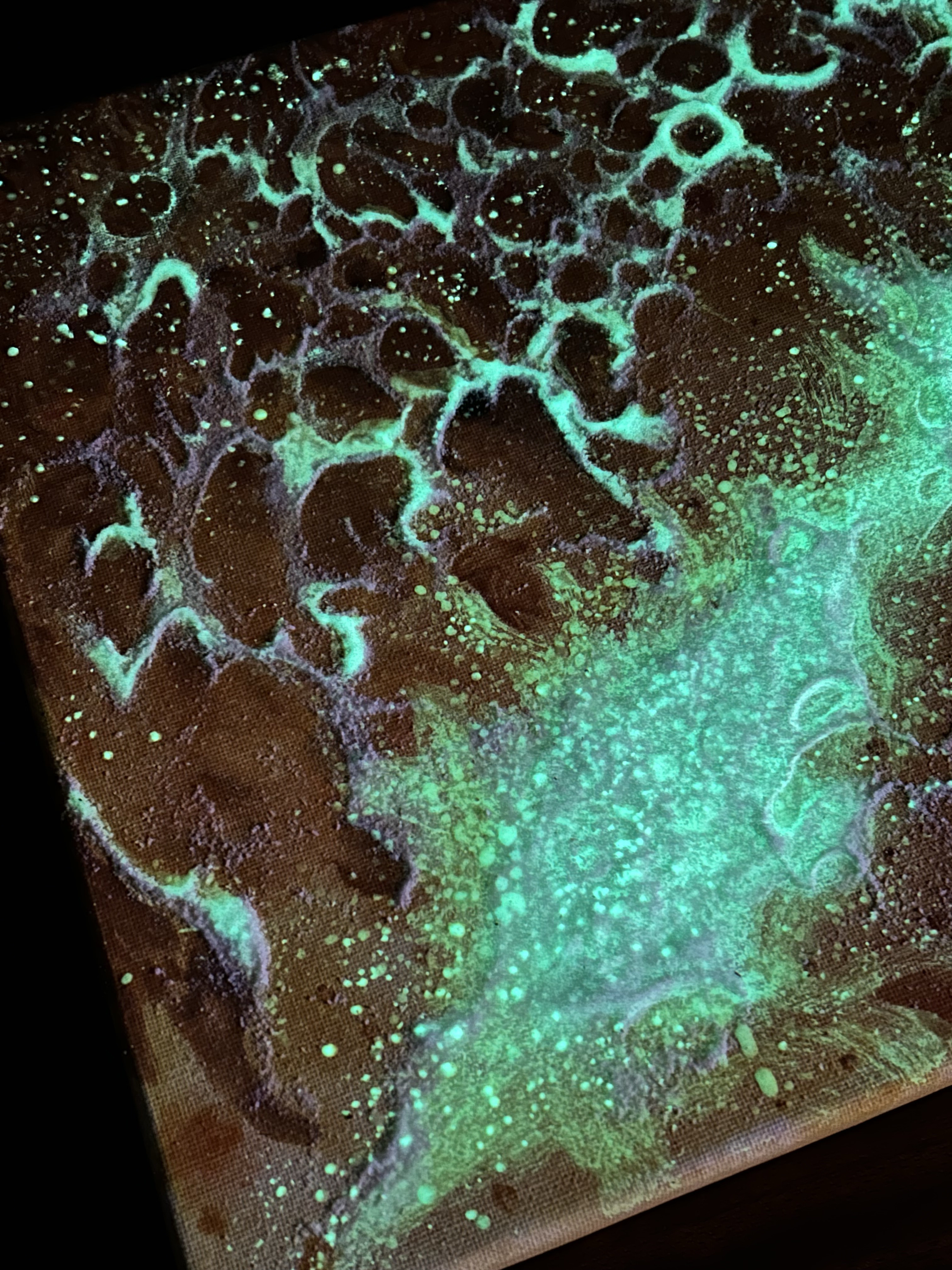 アマテラスヒカリ01