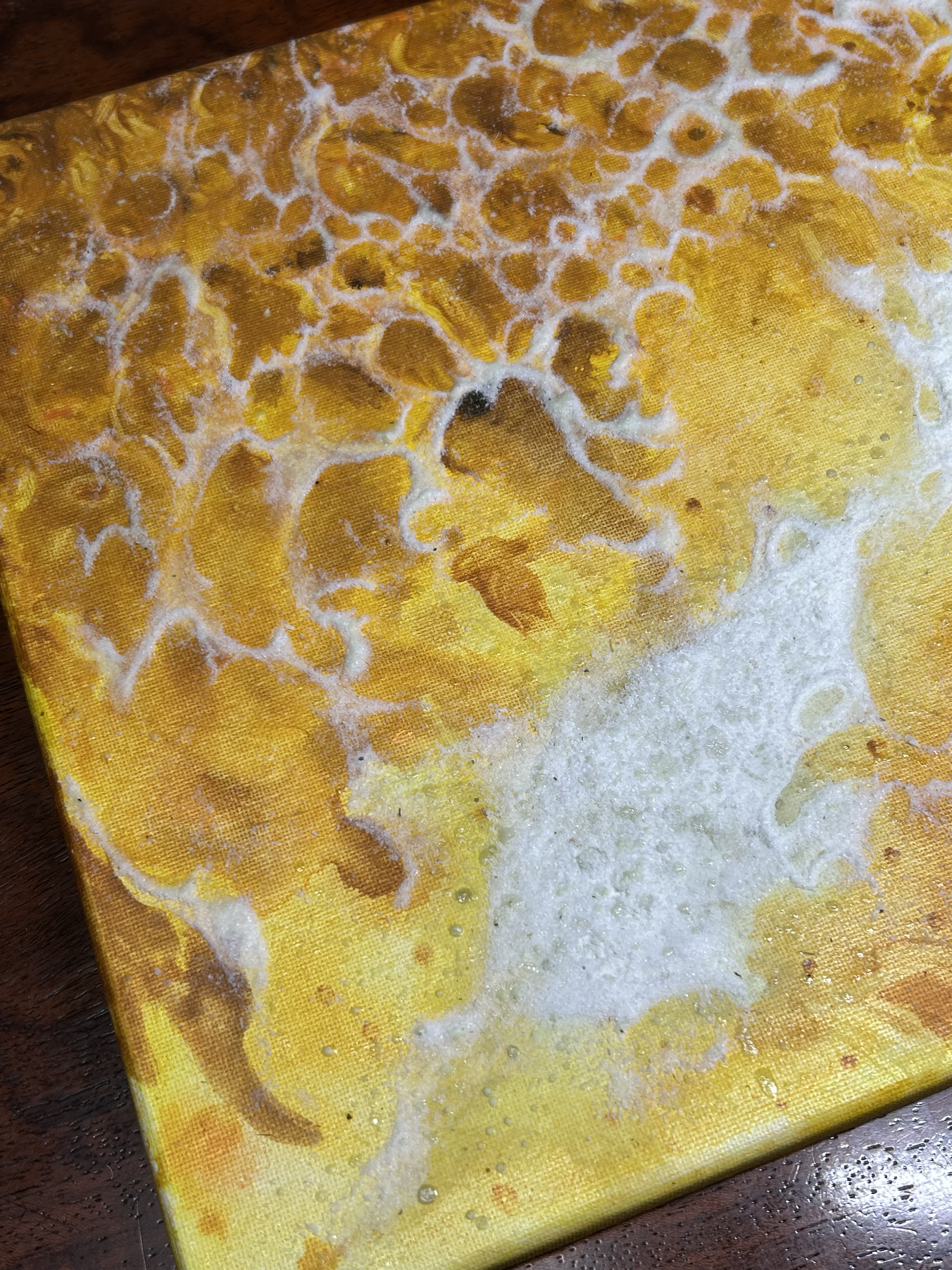 アマテラスヒカリ01