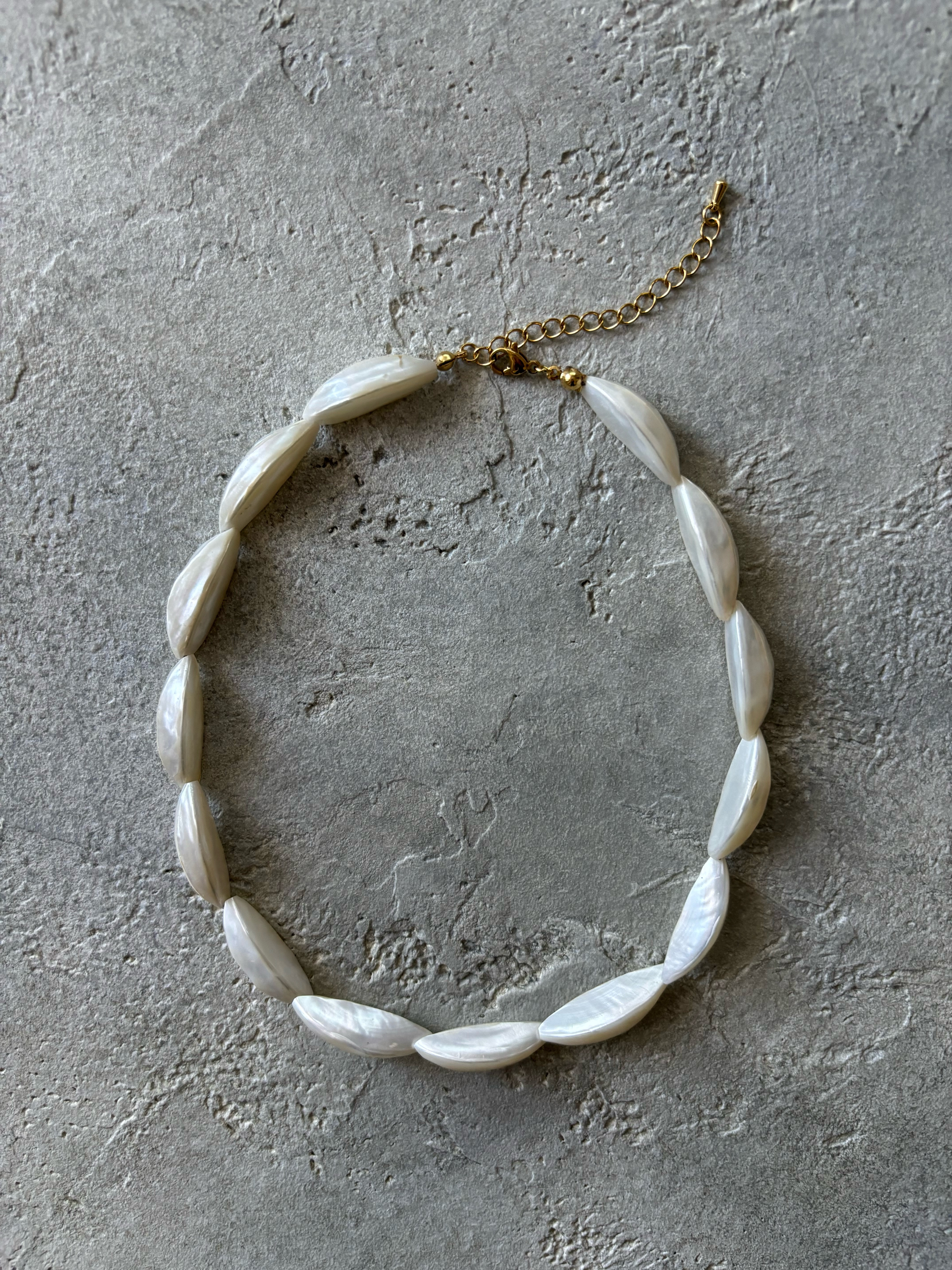 トロカシェル　ネックレス　サージカルステンレス　40㎝