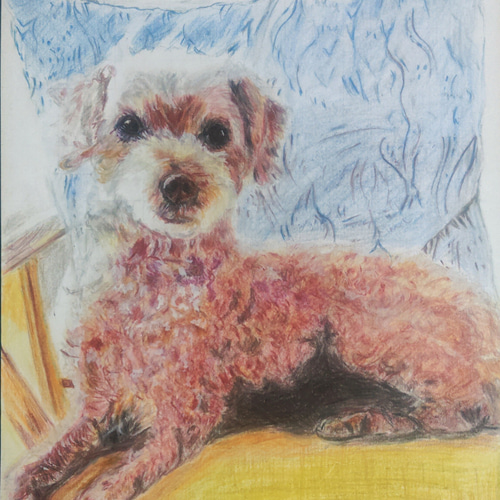 専用　色鉛筆画　原画　絵画　オーダーページです 5821226b26d462c71e2111ff700957