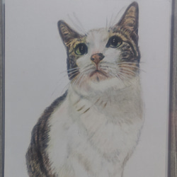 色鉛筆画.似顔絵.オーダー A4サイズ 額付き こちらは、見本になります