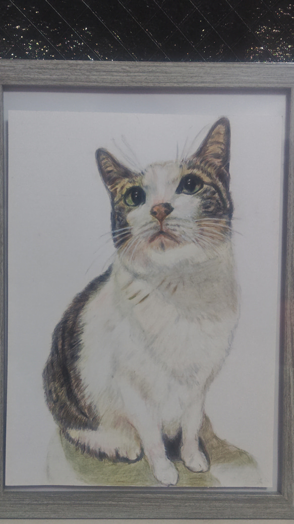 色鉛筆画.似顔絵.オーダー A4サイズ 額付き こちらは、見本になります