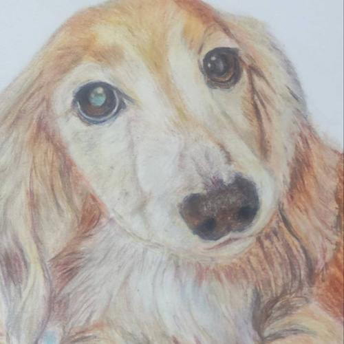 色鉛筆画.似顔絵.オーダー A4サイズ 額付き こちらは、見本になります