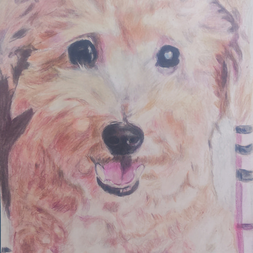 専用　色鉛筆画　原画　絵画　オーダーページです 5821226b26d462c71e2111ff700957