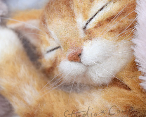 眠る茶トラの子猫 羊毛フェルト studio＊coup 通販 20286874｜Creema