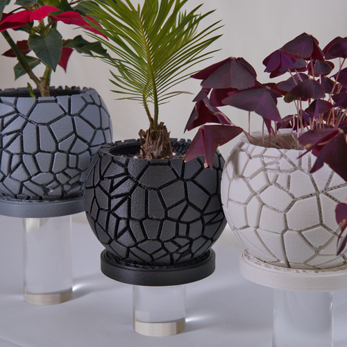 【専用ページ】［たま様］　3Dプリンター鉢　植木鉢 3Dプリント鉢の可能性と未来予測（2022年版） – ゆるぷ