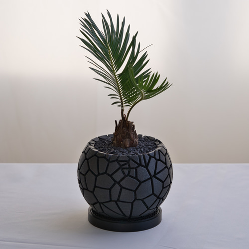 植木鉢】岩肌を纏う、高機能3Dプリンター鉢 