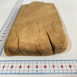 ▦きのかたち：色とりどりの不揃いコースター／M「栗、山桑、桐」│wood coaster usual 17枚目の画像