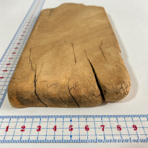 ▦きのかたち：色とりどりの不揃いコースター／M「栗、山桑、桐」│wood coaster usual 17枚目の画像