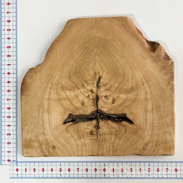 ▦きのかたち：色とりどりの不揃いコースター／M「栗、山桑、桐」│wood coaster usual 4枚目の画像