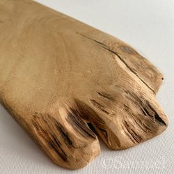 ▦きのかたち：色とりどりの不揃いコースター／M「栗、山桑、桐」│wood coaster usual 18枚目の画像