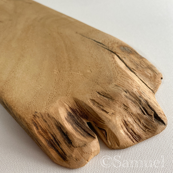 ▦きのかたち：色とりどりの不揃いコースター／M「栗、山桑、桐」│wood coaster usual 18枚目の画像