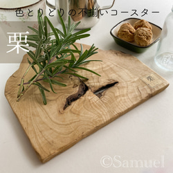 ▦きのかたち：色とりどりの不揃いコースター／M「栗、山桑、桐」│wood coaster usual 1枚目の画像