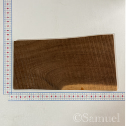 ▦きのかたち：色とりどりの不揃いコースター／M「栗、山桑、桐」│wood coaster usual 10枚目の画像