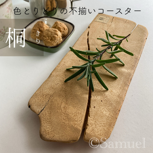 ▦きのかたち：色とりどりの不揃いコースター／M「栗、山桑、桐」│wood coaster usual 13枚目の画像