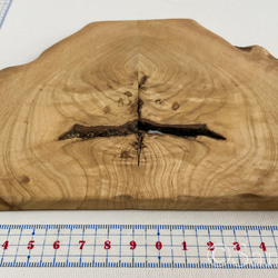 ▦きのかたち：色とりどりの不揃いコースター／M「栗、山桑、桐」│wood coaster usual 5枚目の画像