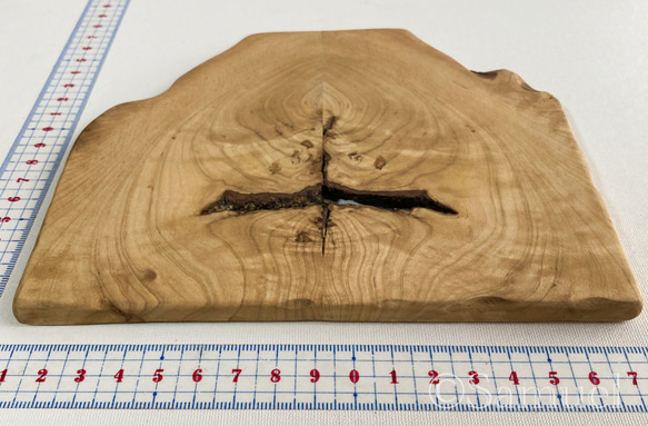 ▦きのかたち：色とりどりの不揃いコースター／M「栗、山桑、桐」│wood coaster usual 5枚目の画像