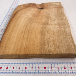 ▦きのかたち：色とりどりの不揃いコースター／M「Teak、樟（杢入）」│wood coaster unusual 4枚目の画像