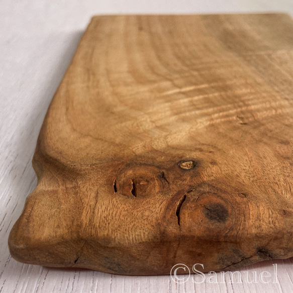 ▦きのかたち：色とりどりの不揃いコースター／M「Teak、樟（杢入）」│wood coaster unusual 9枚目の画像