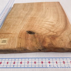 ▦きのかたち：色とりどりの不揃いコースター／M「Teak、樟（杢入）」│wood coaster unusual 3枚目の画像