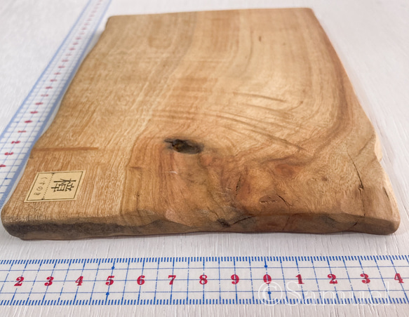 ▦きのかたち：色とりどりの不揃いコースター／M「Teak、樟（杢入）」│wood coaster unusual 3枚目の画像