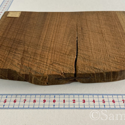 ▦きのかたち：色とりどりの不揃いコースター／M「Teak、樟（杢入）」│wood coaster unusual 13枚目の画像