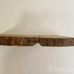 ▦きのかたち：色とりどりの不揃いコースター／M「Teak、樟（杢入）」│wood coaster unusual 18枚目の画像