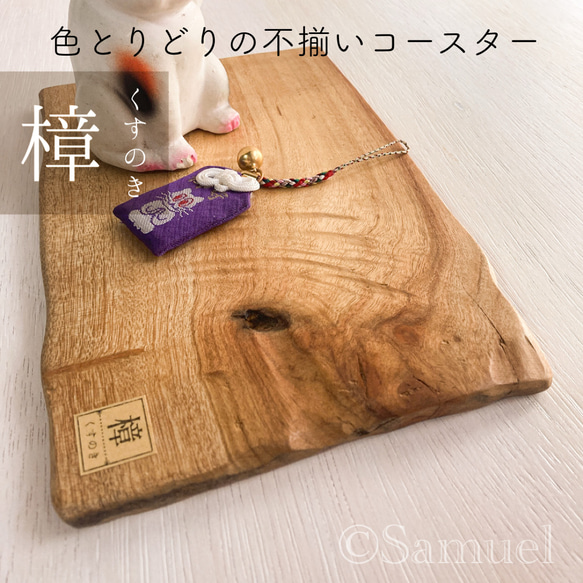 ▦きのかたち：色とりどりの不揃いコースター／M「Teak、樟（杢入）」│wood coaster unusual 1枚目の画像