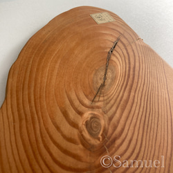 ▦きのかたち：色とりどりの不揃いコースター／L「赤松、山桑」│wood coaster usual 6枚目の画像