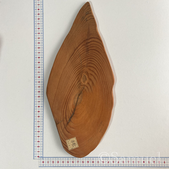 ▦きのかたち：色とりどりの不揃いコースター／L「赤松、山桑」│wood coaster usual 2枚目の画像