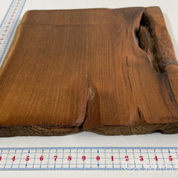 ▦きのかたち：色とりどりの不揃いコースター／L「赤松、山桑」│wood coaster usual 11枚目の画像