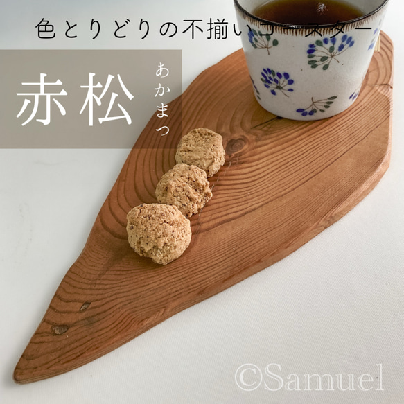 ▦きのかたち：色とりどりの不揃いコースター／L「赤松、山桑」│wood coaster usual 1枚目の画像