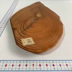 ▦きのかたち：色とりどりの不揃いコースター／L「赤松、山桑」│wood coaster usual 3枚目の画像