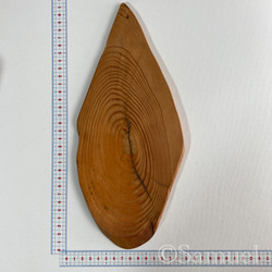 ▦きのかたち：色とりどりの不揃いコースター／L「赤松、山桑」│wood coaster usual 4枚目の画像