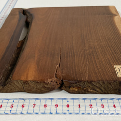 ▦きのかたち：色とりどりの不揃いコースター／L「赤松、山桑」│wood coaster usual 9枚目の画像
