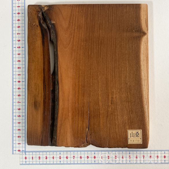 ▦きのかたち：色とりどりの不揃いコースター／L「赤松、山桑」│wood coaster usual 8枚目の画像