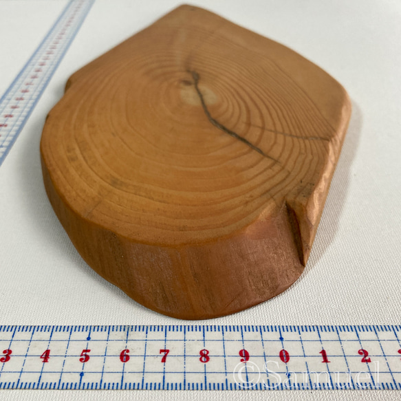 ▦きのかたち：色とりどりの不揃いコースター／L「赤松、山桑」│wood coaster usual 5枚目の画像