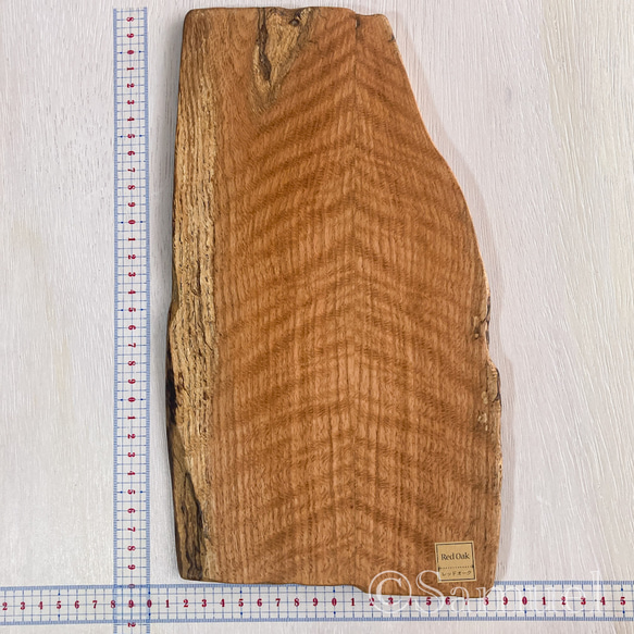 ▦きのかたち：色とりどりの不揃いコースター／XL「シカモア、レッドオーク」│coaster unusual 2枚目の画像