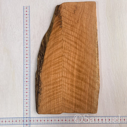 ▦きのかたち：色とりどりの不揃いコースター／XL「シカモア、レッドオーク」│coaster unusual 5枚目の画像