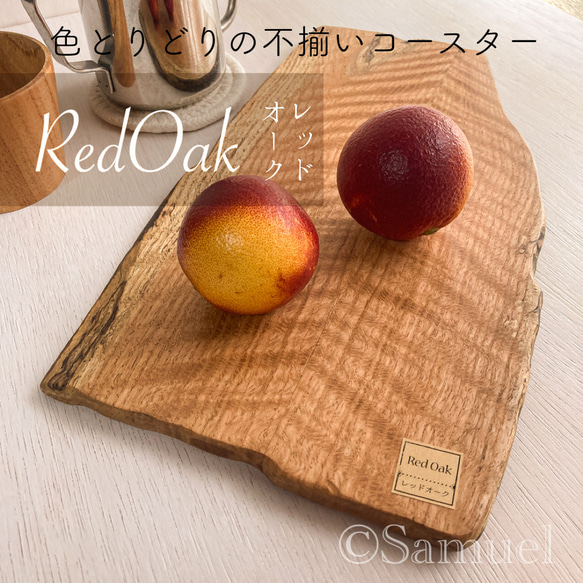 ▦きのかたち：色とりどりの不揃いコースター／XL「シカモア、レッドオーク」│coaster unusual 1枚目の画像