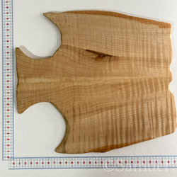 ▦きのかたち：色とりどりの不揃いコースター／XL「シカモア、レッドオーク」│coaster unusual 15枚目の画像