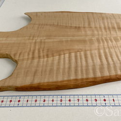 ▦きのかたち：色とりどりの不揃いコースター／XL「シカモア、レッドオーク」│coaster unusual 13枚目の画像