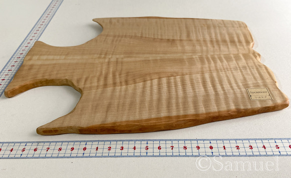 ▦きのかたち：色とりどりの不揃いコースター／XL「シカモア、レッドオーク」│coaster unusual 13枚目の画像