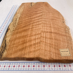 ▦きのかたち：色とりどりの不揃いコースター／XL「シカモア、レッドオーク」│coaster unusual 3枚目の画像