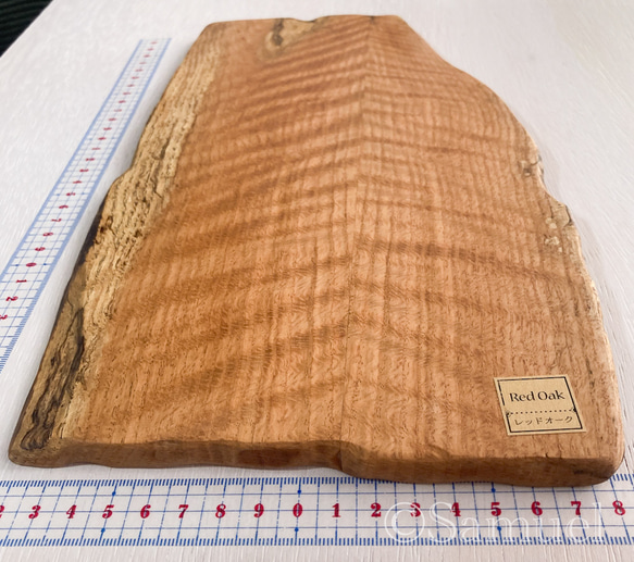 ▦きのかたち：色とりどりの不揃いコースター／XL「シカモア、レッドオーク」│coaster unusual 3枚目の画像