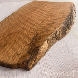 ▦きのかたち：色とりどりの不揃いコースター／XL「シカモア、レッドオーク」│coaster unusual 7枚目の画像