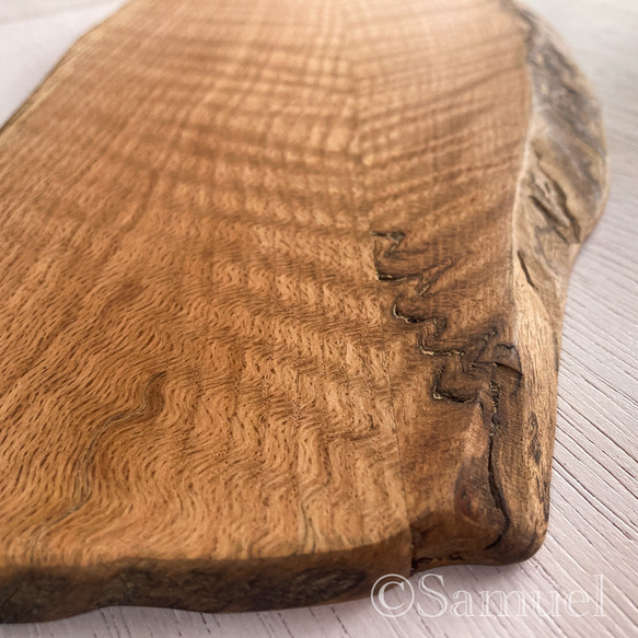 ▦きのかたち：色とりどりの不揃いコースター／XL「シカモア、レッドオーク」│coaster unusual 8枚目の画像